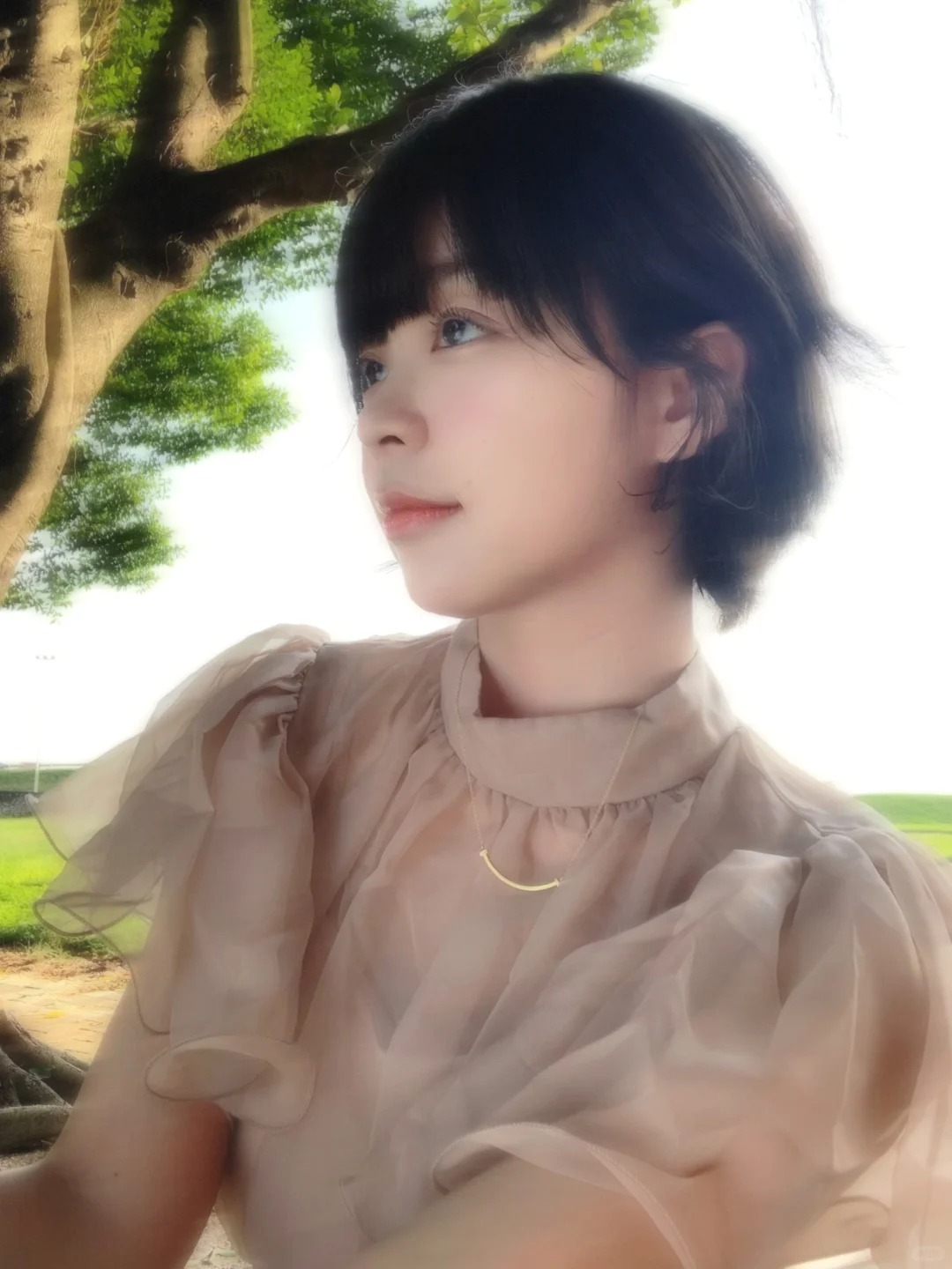 Profile